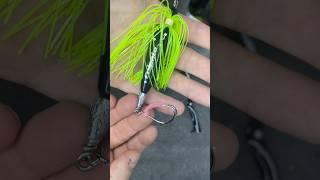 Fishing hack! #fishingvideo #fishing #fishinglife