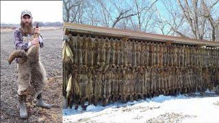 He CAUGHT OVER 70 COYOTES With this SIMPLE Set