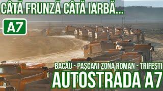 AUTOSTRADA A7 Bacau-Pascani | Câtă frunză câtă iarbă...| Lucrari zona Roman-Trifesti 21.02.2025