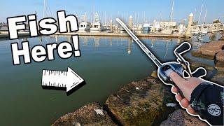 The BEST Fishing Spot in Port Aransas, Texas! (Jetty Fishing)