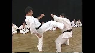 Powerful front kick by Kaicho Hatsuo Royama