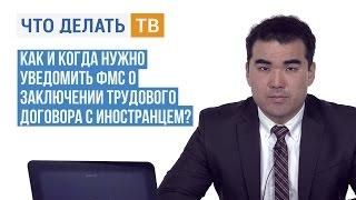 Как и когда нужно уведомить ФМС о заключении трудового договора с иностранцем?