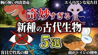 【ゆっくり解説】腕の無い肉食恐竜？！新たに発見された奇妙すぎる古代生物たち