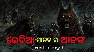 ଭେଡିଆ ମାନବ ର ଆତଙ୍କ | odia horror stories | odia bhuta gapa