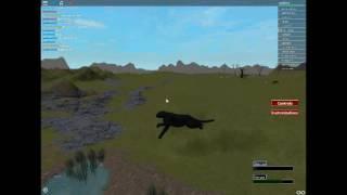 I believe I can flyyyy!!! (Glitch in ROBLOX survival)