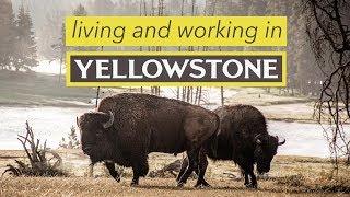 My Internship in Yellowstone | Summer in Selfies