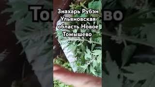 Народный целитель РФ Федотов Рубэн Сергеевич