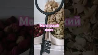 Магический ключ ссылка на магазин в профиле
