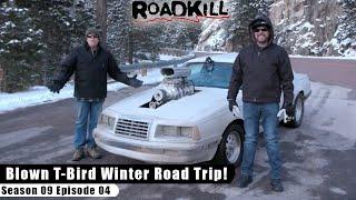 Blown T-Bird Winter Road Trip! - Roadkill S09E04 - Reality Car TV Show