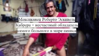 Самые невероятные секс-рекорды