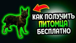 Diablo 4 - Как получить питомца бесплатно и активировать его