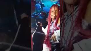 mogondo sharks live performance salgaa