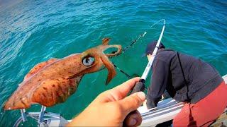 SQUID FISHING - EPIC DAY OUT!