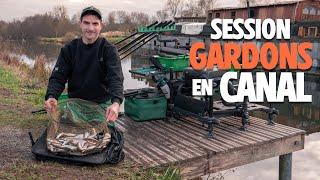 Pêche des GARDONS en canal avec Julien Turpin.