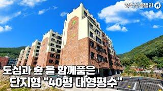 이것이 진정한 숲세권 힐링하우스 40평 대형평수 아름다운 단지형 양주신축빌라