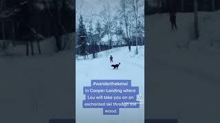 Cooper Landing: one of the top places for kids and pups to play in the snow.