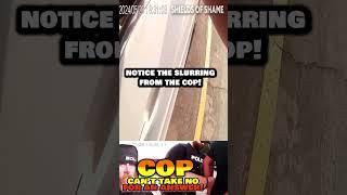Cracked windshield and 4th amendment