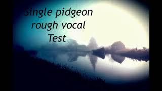 VOCAL PRACTICE TEST: SINGLE PIDGEON #guitarist  #guitar   #singer   #bass
