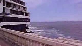 Las Gaviotas