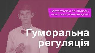 Гуморальна регуляція – Підготовка до ЗНО – Біологія