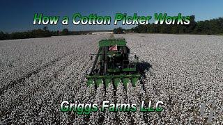 How A Cotton Picker Works (4K)