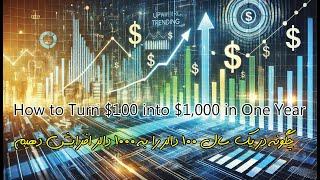 How to Turn $100 into $1,000 in One Year چگونه در یک سال 100 دالر را به 1000 دالر افزایش دهیم