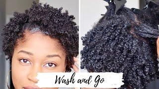 Wash n Go on Short Natural Hair + Nighttime Routine | Thick, Low Porosity Hair | DEFINED CURLS!