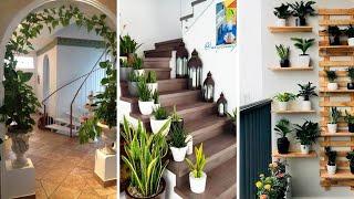 @Creative Indoor Plant Decoration Ideas to Transform Your Space 