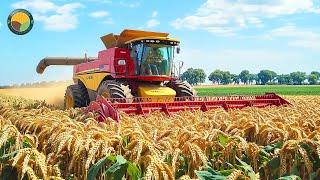 How US Farmers Harvest Millions of Tons of Wheat by Machine | Farming Documentary