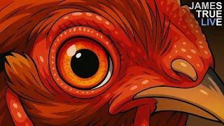 966 - Top Chicken