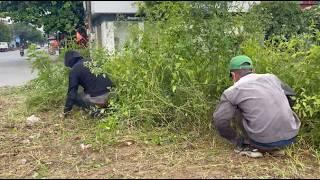 Horrific discovery while cleaning up overgrown lawn at intersection - Two guys clean up by hand