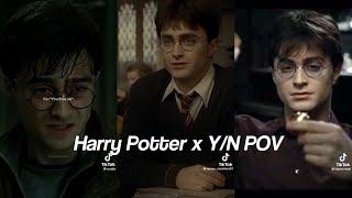 Harry Potter *himself x Y/N TikTok POV