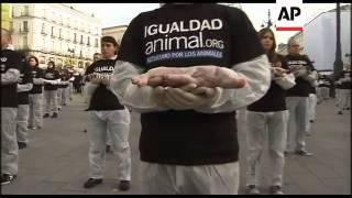 Animal rights group stages protest with dead animals in Madrid