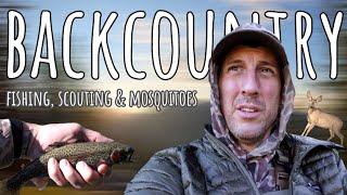 Four Day Solo Backcountry Trout Fishing and Scouting Mule Deer!