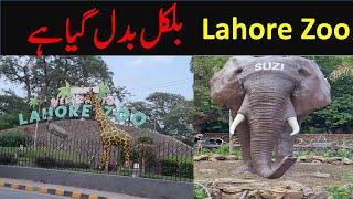 Lahore Zoo | European Style Zoo In Pakistan | Lahore Zoo Reopened 2024