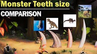 animal tooth size comparison / who has the Biggest teeth?