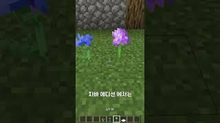 마인크래프트 자바 vs 베드락