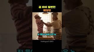 곰 파이 될뻔한 패딩턴
