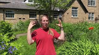 Carbrook Ravine nature reserve woodland improvement project appeal