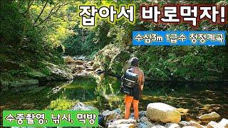 1급수 비밀장소 즉석에서 낚시로 잡아먹는 술안주/몽환적인 수중촬영 수심 3m/나만 알고 싶은 그림같은 포인트 천국이 따로없네