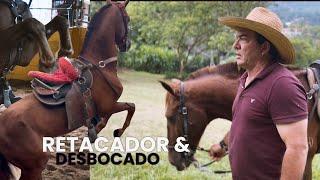 Creemos en el caballo Caballo  retacador y peligroso - e4