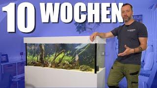 160x60x60 Süßwasser - So verlief der START!