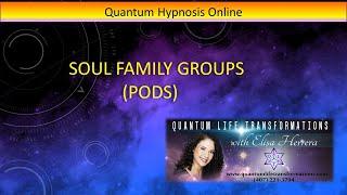 28 Quantum Hypnosis Online - Soul Family Groups (Pods)