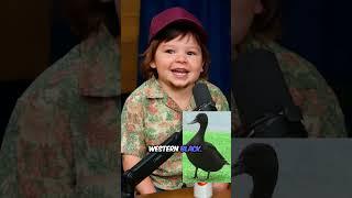 "MALLARD LUTHER KING"  BABY THEO VON & KATT WILLIAMS #shorts #theovon