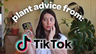 REACTING to Houseplant Advice from TIKTOK!