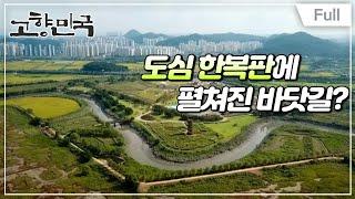 [Full] 고향민국 - 시흥, 자연과 역사가 숨 쉬는 땅