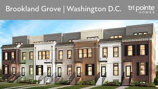 Brookland Grove | New Townhomes in Washington D.C.