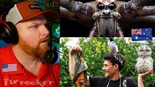 American Reacts to Ranking the Weird Aussie Animals In My Yard!