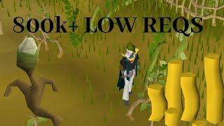[OSRS] 800k+ AN HOUR! Low Requirments / Money Making Guide