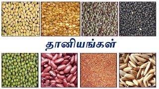 45 தானியங்கள்,பருப்பு வகைகள் மற்றும் சிறுதானியம் | Cereals, Pulses and Millets in TAMIL